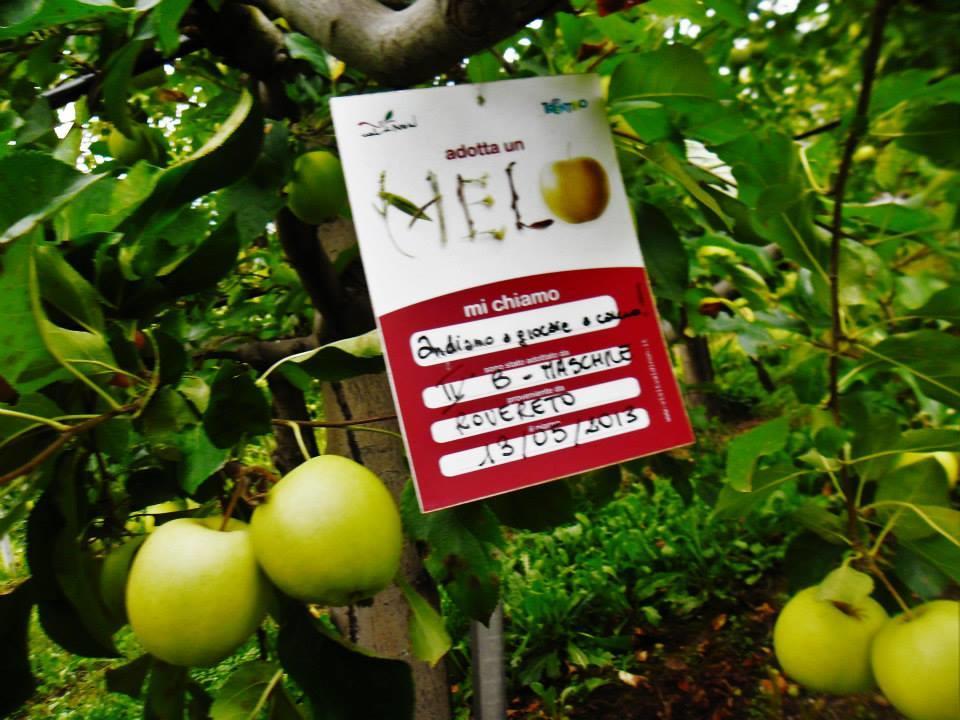 Agritur Leita Villa Tuenno Ngoại thất bức ảnh